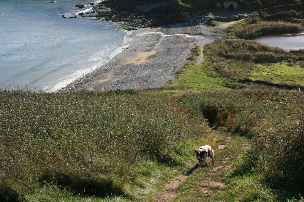 Beacon House B&B Brixham Esterno foto